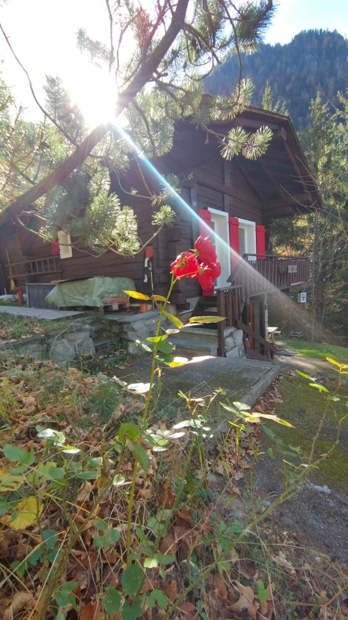 Petit Chalet Rustique Et Bucolique Bovernier Exterior foto